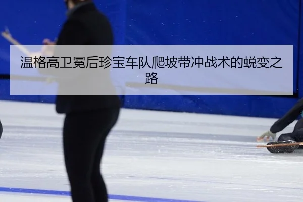 wen-ge-gao-wei-mian-hou-zhen-bao-che-dui-pa-po-dai-chong-zhan-shu-de-tui-bian-zhi-lu-2-148.jpg